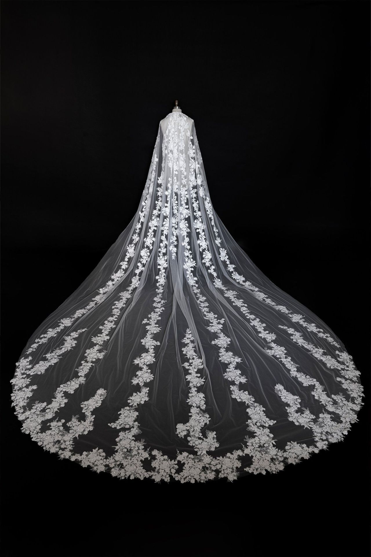 Carly Veil - image 1