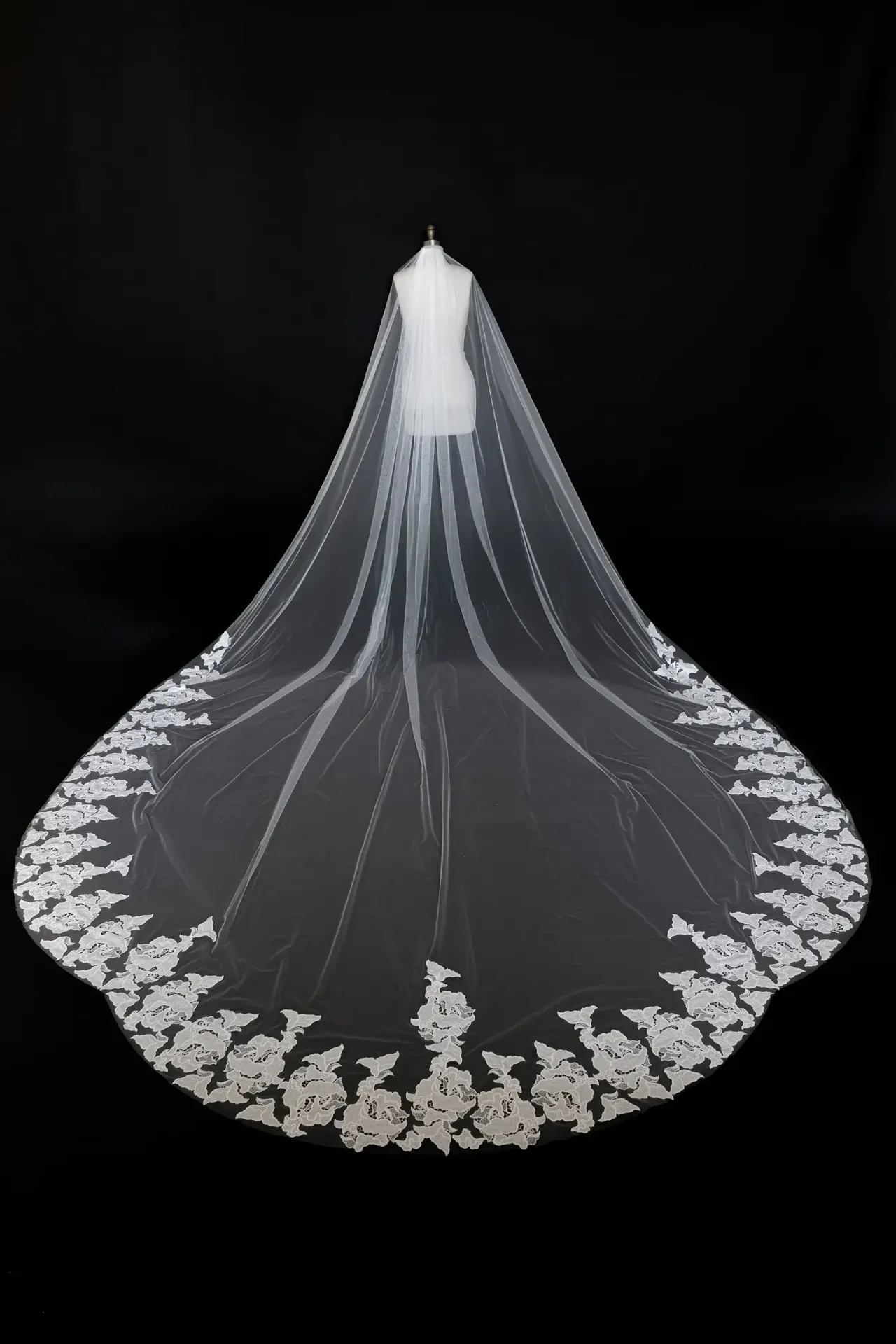 Eva Veil - image 1