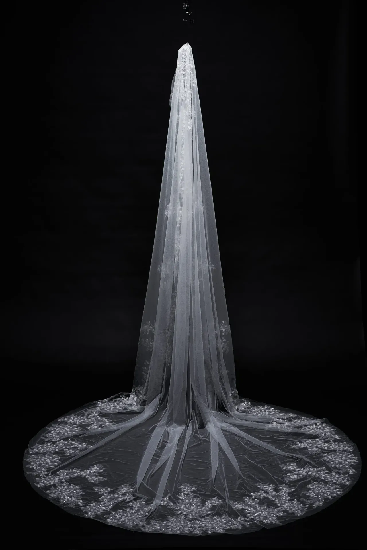 Livy - image 1